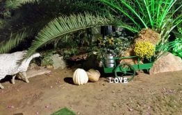 8F1923B0-9F9A-9209-A4C5-E2976F87FBC5