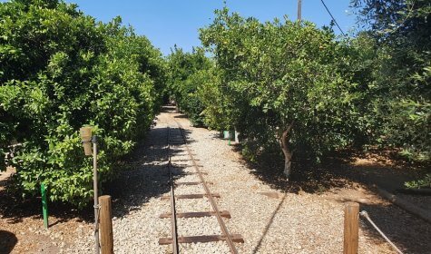 הבית בפרדס כניסה